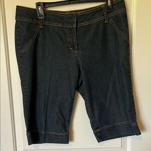 Bisou Bisou Indigo Denim Shorts